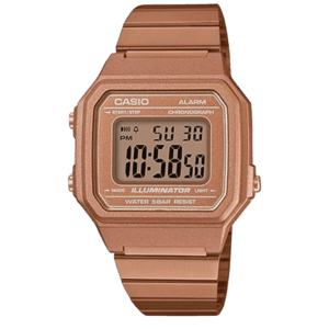 CASIO