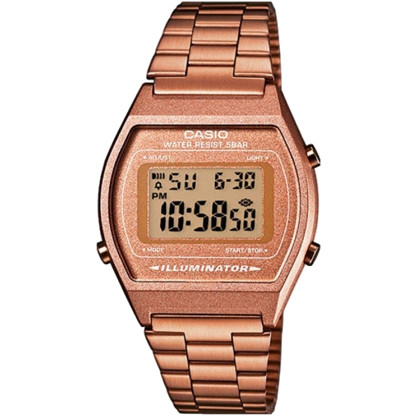 CASIO VINTAGE